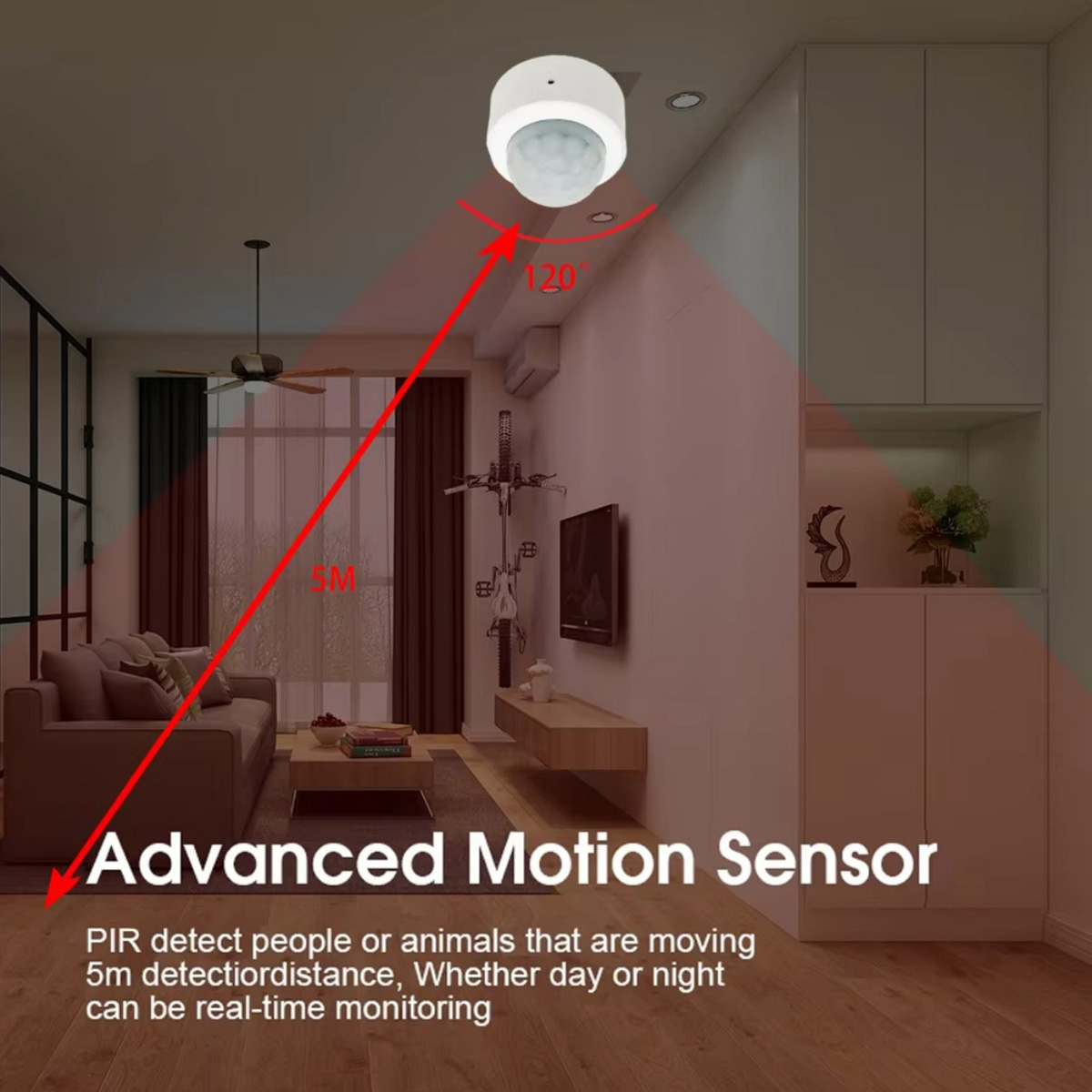 Zigbee PIR Motion Sensor Human - Home Security Technology avis et prix