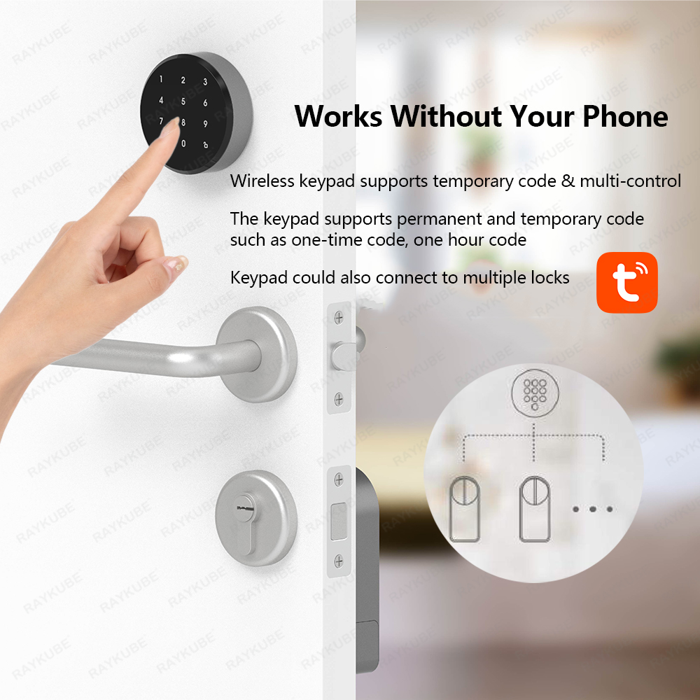 RAYKUBE A1 Pro Tuya BEL Smart  - Home Security Keypad avis et prix