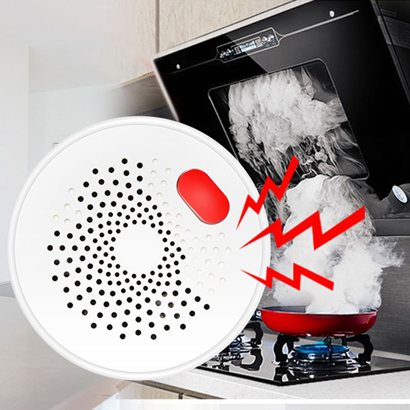 Tuya Smart Home Wifi Natural G - Home Security Technology avis et prix