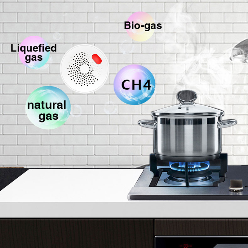 Tuya Smart Home Wifi Natural G - Home Security Technology avis et prix