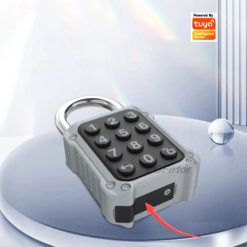 EGFirtor Tuya APP Electronic S - Home Security Keypad avis et prix