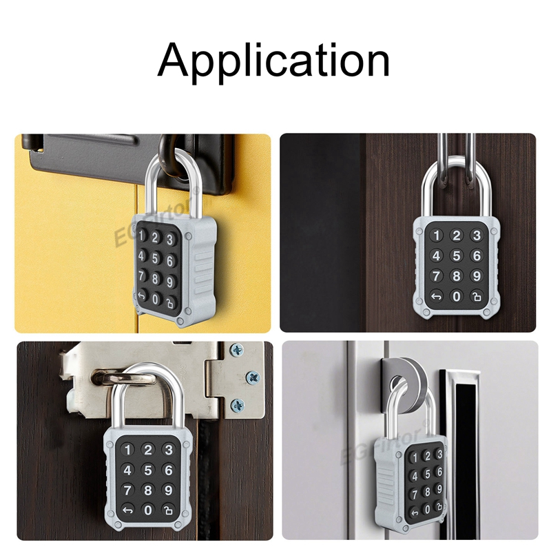 EGFirtor Tuya APP Electronic S - Home Security Keypad avis et prix